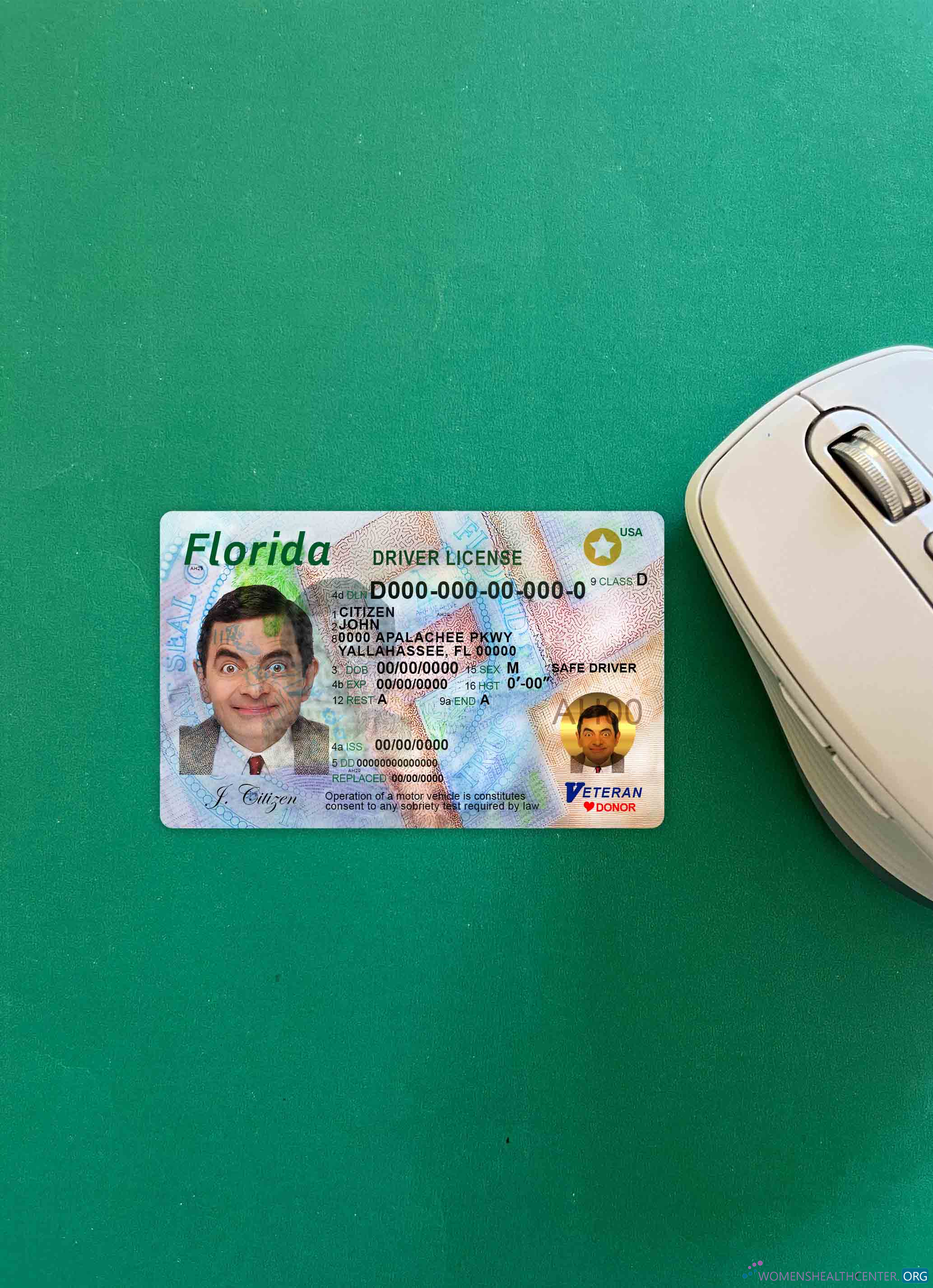 Download USA Florida DL photolook FRONT Photoshop template